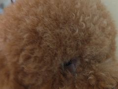 -宠颐生宠物医院·骨外科·犬猫全科诊疗中心(池州店)