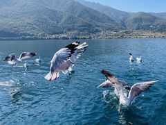 -丽江泸沽湖景区