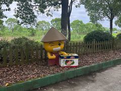 -上海都市菜园