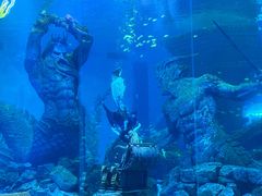 -哈尔滨波塞冬海底世界