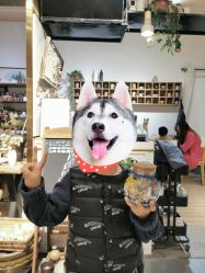 -初八手工DIY陶艺馆(初八陶社)