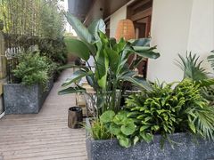-芸鲜季·云南野生菌餐厅· 云南风物味研社(闵行店)