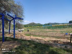 -浅山蜜塘奇妙乐园·亲子营地