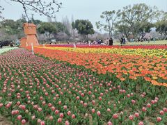 -苏州上方山国家森林公园