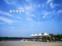 -南大港湿地风景区