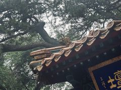 -潭柘寺景区