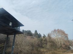 -南京维景国际大酒店(南京博物院店)