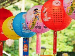 -天鹿湖森林公园