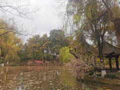 -桂湖森林公园