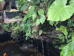 -鹏城人家海鲜酒家·23年老字号(较场尾店)