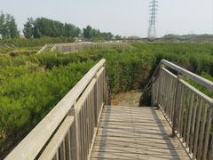 -亲兄弟真人CS团建拓展基地