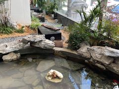 -纳地素食(石门公园店)