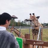 可以近距离的接触小动物