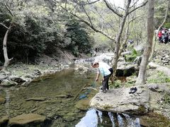 -宁波五龙潭景区