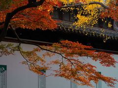 -西园戒幢律寺