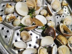 白沙白-海大大蒸汽海鲜餐厅·粤菜·特色小炒(欢乐颂店)