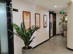 -星豆豆儿童摄影(南郊太白南路店)