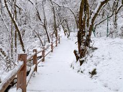 -九峰山