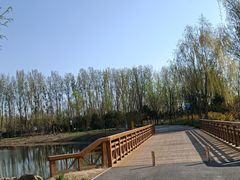-东郊湿地公园