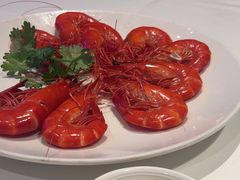 -侨美食家·40年地道粤菜(珠江新城店)