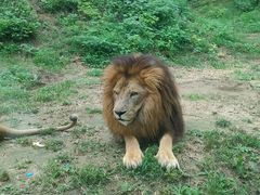 -石家庄市动物园