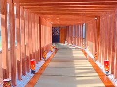 -重庆南山海昌汤都