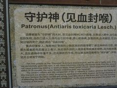 -海南霸王岭国家森林公园