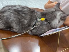 -瑞鹏宠物医院·普外科·影像科·皮肤科(城市山谷分院)