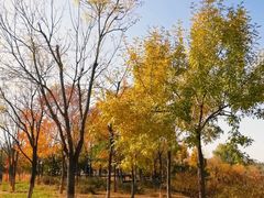 -东郊湿地公园