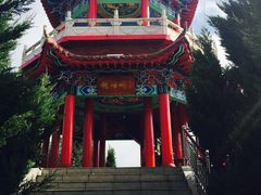 -大鹿岛