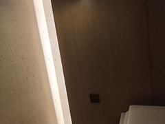 -深圳国际会展中心希尔顿酒店(前海华发冰雪世界店)