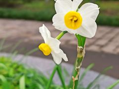 -共青国家森林公园-售票处