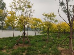 -东郊湿地公园