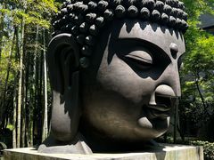 -杭州植物园