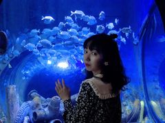 -成都浩海立方海洋公园