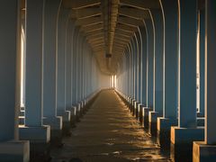 -宝安西湾红树林湿地公园