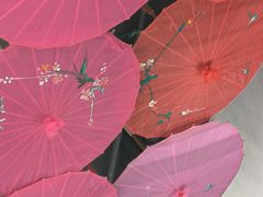 -云鱿记鱿鱼鸡·野生菌火锅(人民南路店)