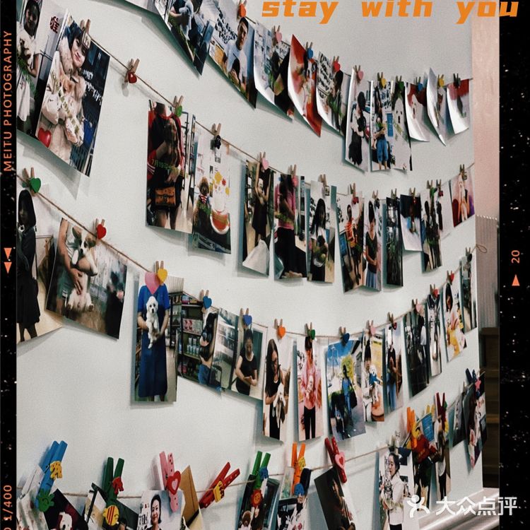 天津探店|唯爱宠物·猫狗专卖（河西店）