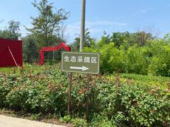 -西青郊野公园
