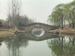 -大兴滨河森林公园