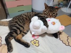 -心乐生活新鲜屋(星海广场店)