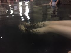 -深业半汤御泉庄温泉
