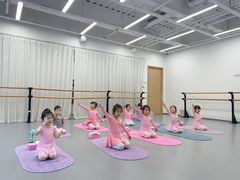 -中央芭蕾舞团·中芭艺蕾(酒仙桥明星校区)