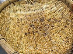 -邓记新一代糖油果子(四川煤管局供销公司职工宿舍店)