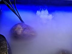 -九田家黑牛烤肉料理(三墩店)