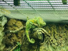 -广州长隆飞鸟乐园