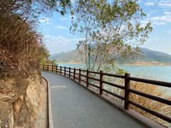 -羚羊峡古栈道森林公园