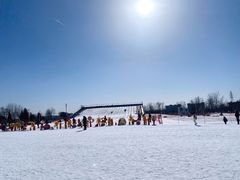 -绿野森林乐园冰雪季