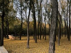 -森林公园(尖草坪区)