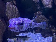 -成都浩海立方海洋公园